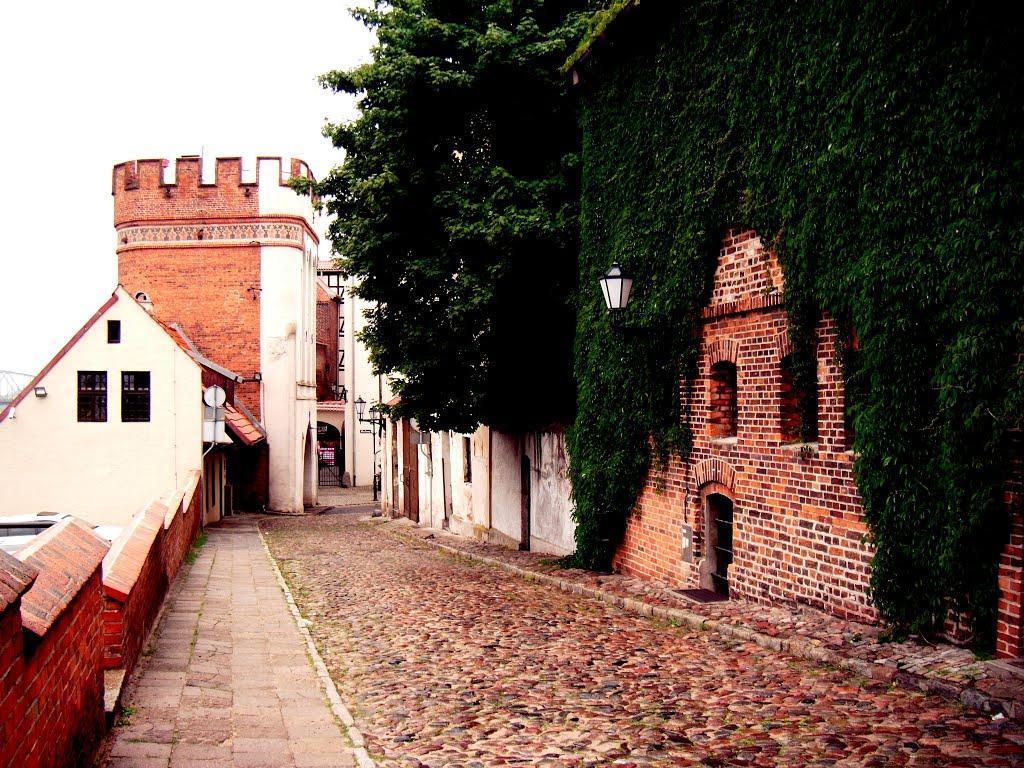 Apartament Pod Kopernikiem II Stary Toruń エクステリア 写真